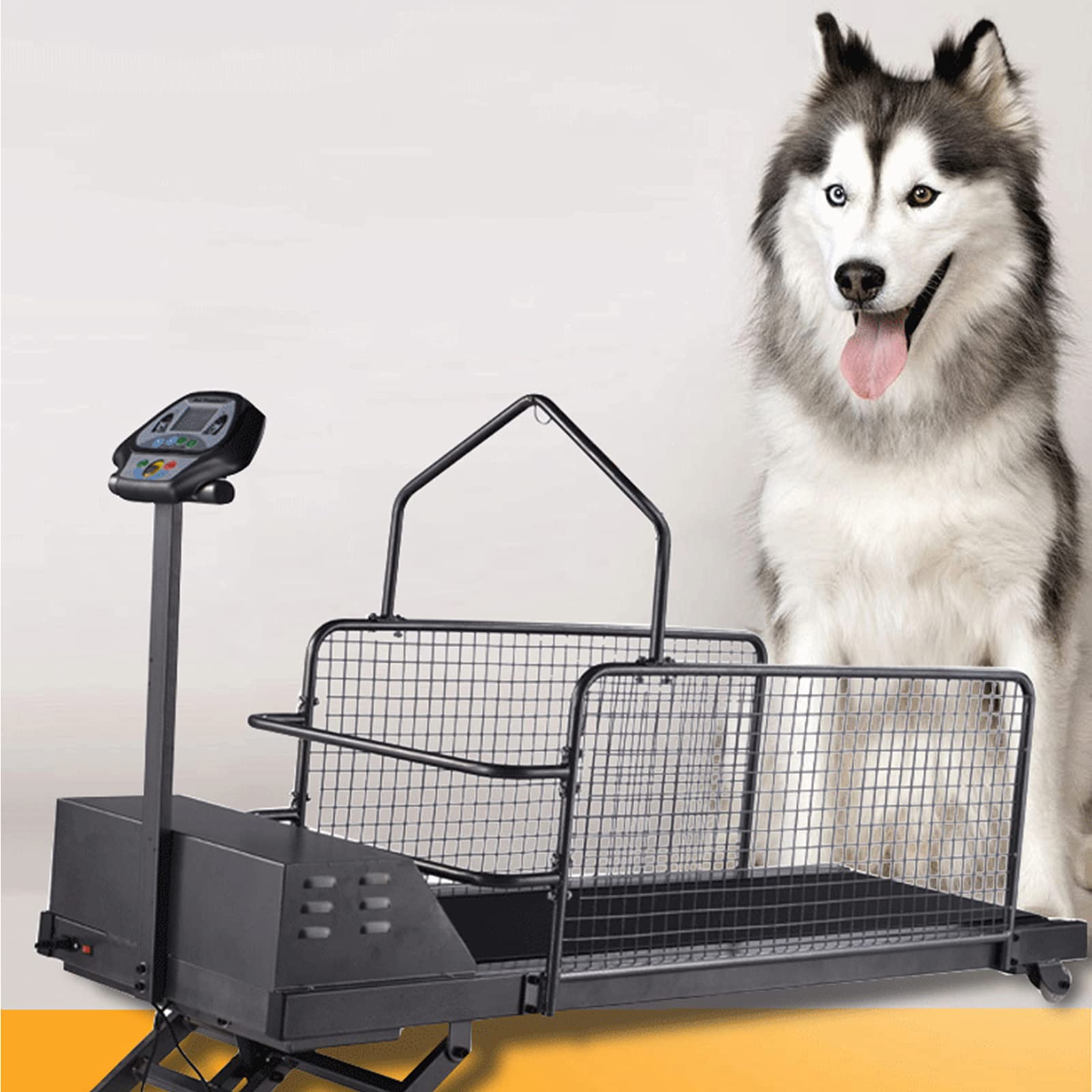 Dog Treadmill Review: A Comprehensive Look at the Game-Changer for Large & Medium Sized Dogs